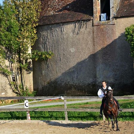 Chateau Des Noces Bazoges-en-Pareds Zewnętrze zdjęcie